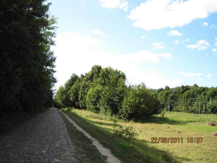Коричинці з panoramio.com - Korychyntsi