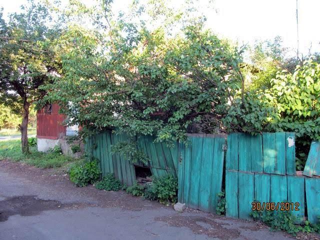 Вергулівка з panoramio.com - Вергулівка