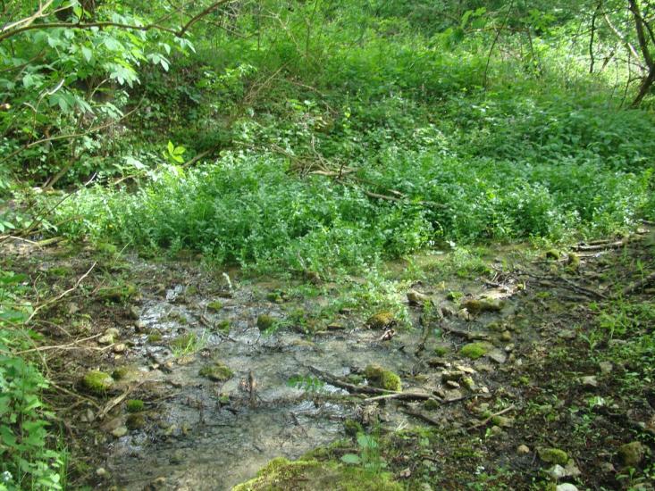 Романівка з panoramio.com - Романівка