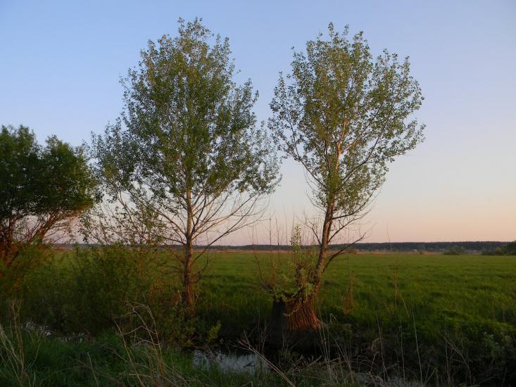 Білозір'я з panoramio.com - Белозерье
