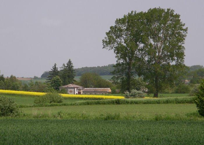 Угнів з panoramio.com - Ugniv