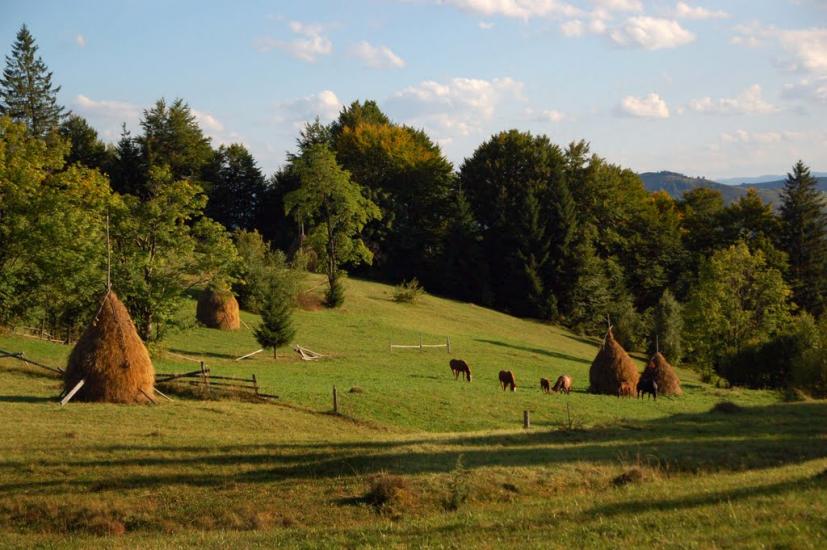 Соколівка з panoramio.com - Соколовка