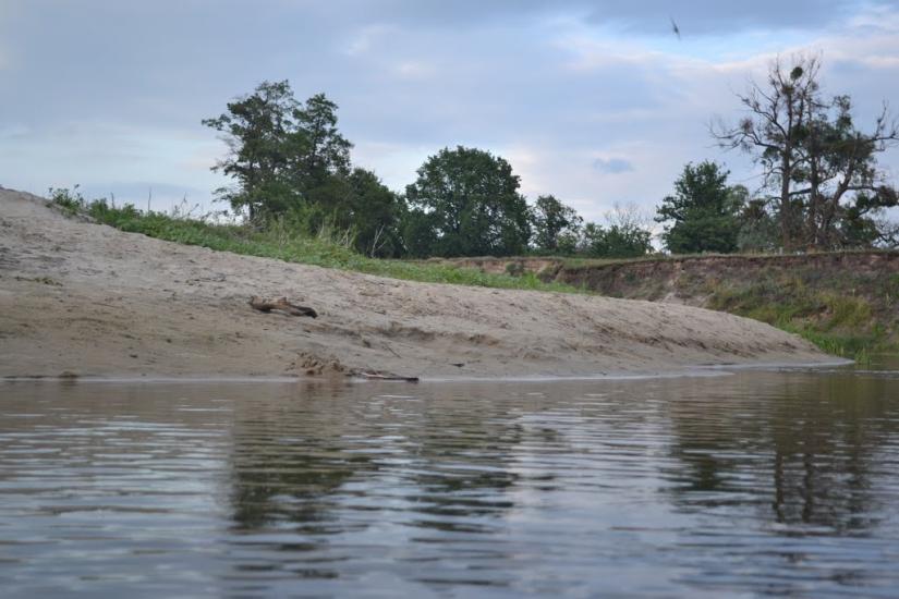 Пилівка з panoramio.com - Пылевка