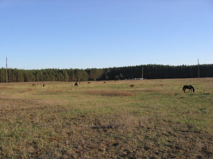 Мигалки з panoramio.com - Мигалки
