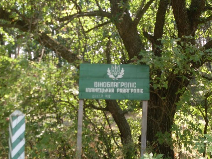 Китайгород з panoramio.com - Китайгород