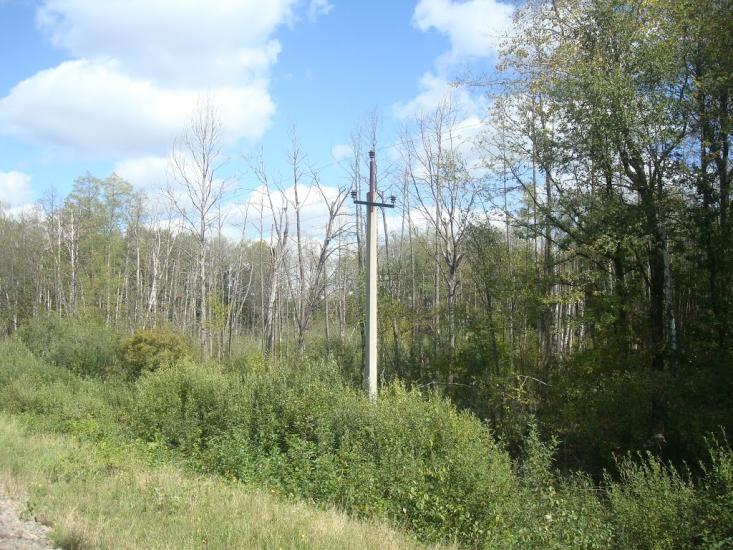 Городнявка з panoramio.com - Городнявка