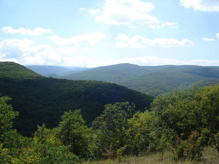 Овражки з panoramio.com - Овражки