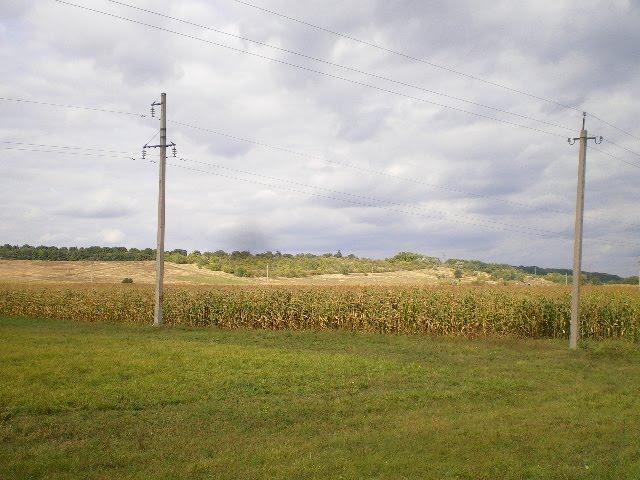 М'якеньківка з panoramio.com - Мякеньковка