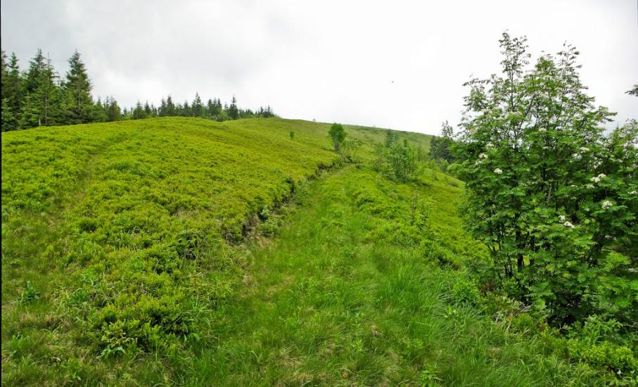Кам'янка з panoramio.com - Каменка