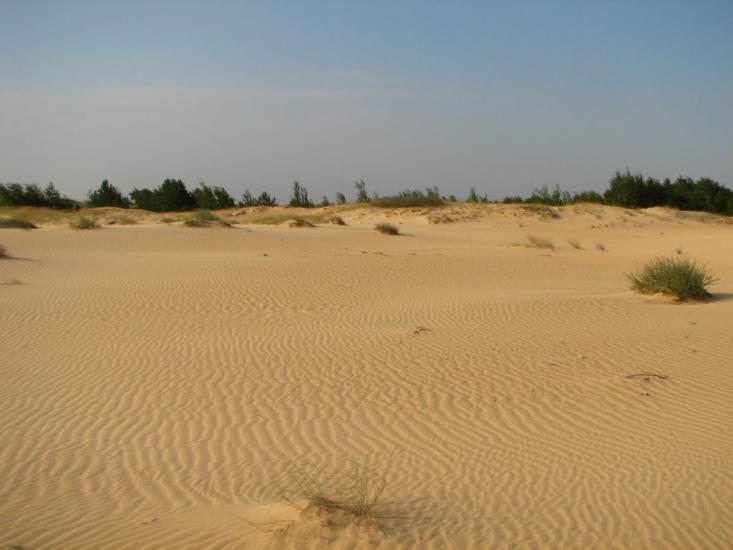 Пролетарка з panoramio.com - Пролетарка