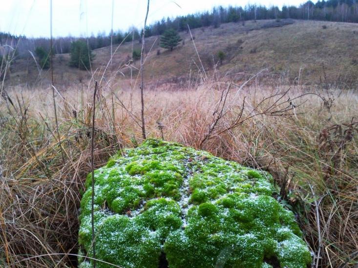 Нова Січ з panoramio.com - Нова Січ