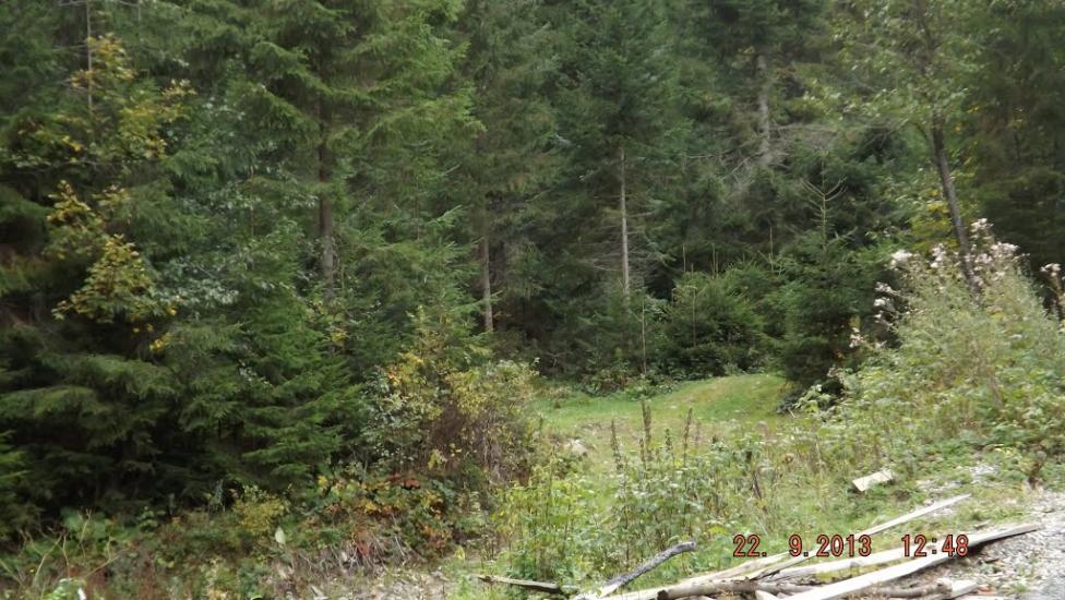 Поляниця з panoramio.com - Поляница