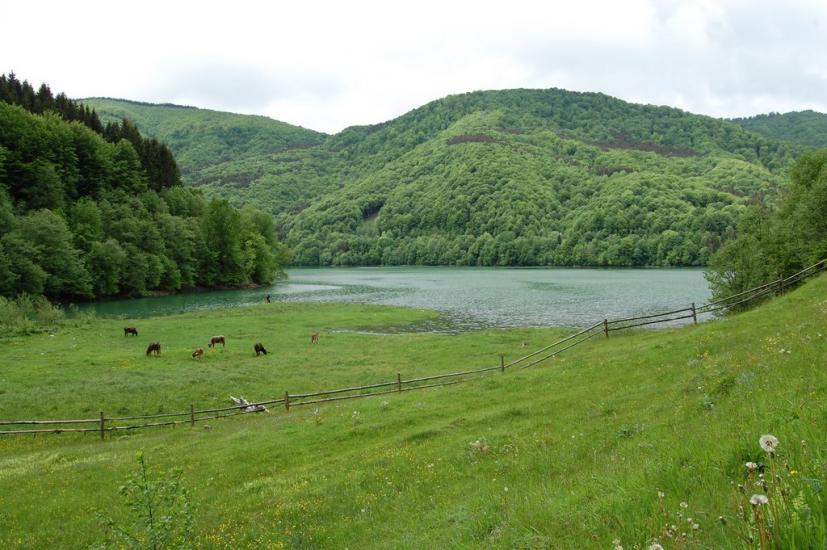 Вільшани з panoramio.com - Ольшаны