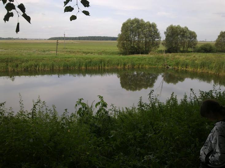 Новий Витків з panoramio.com - Новый Витков