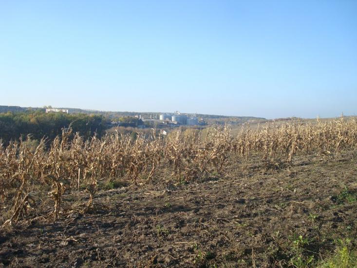 Томашівка з panoramio.com - Томашовка