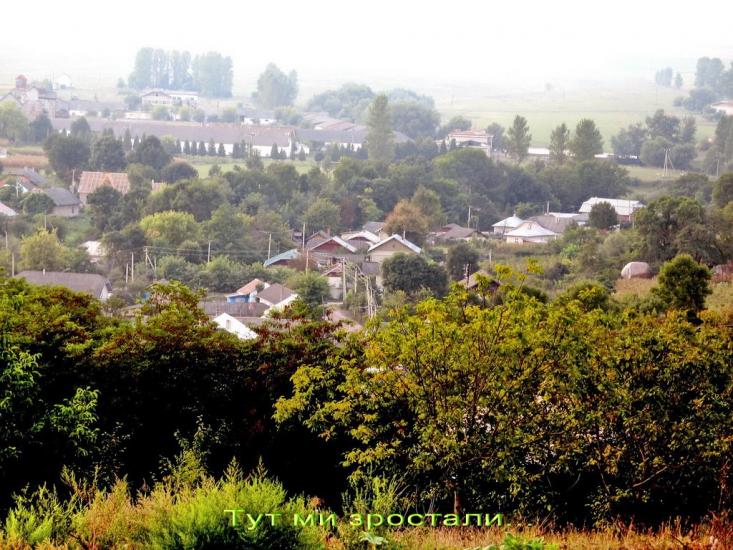 Стрільче з panoramio.com - Стрельче