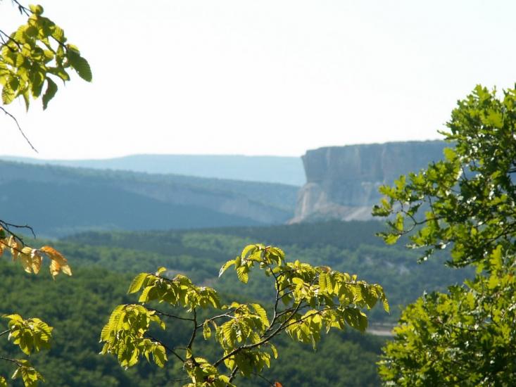 Кудрине з panoramio.com - Кудрино