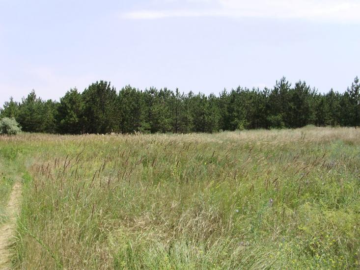 Саги з panoramio.com - Sagy