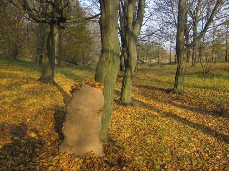 Славута з panoramio.com - Славута