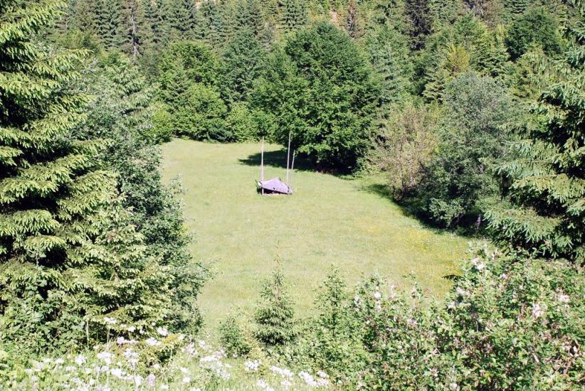 Стригальня з panoramio.com - Стригальняя