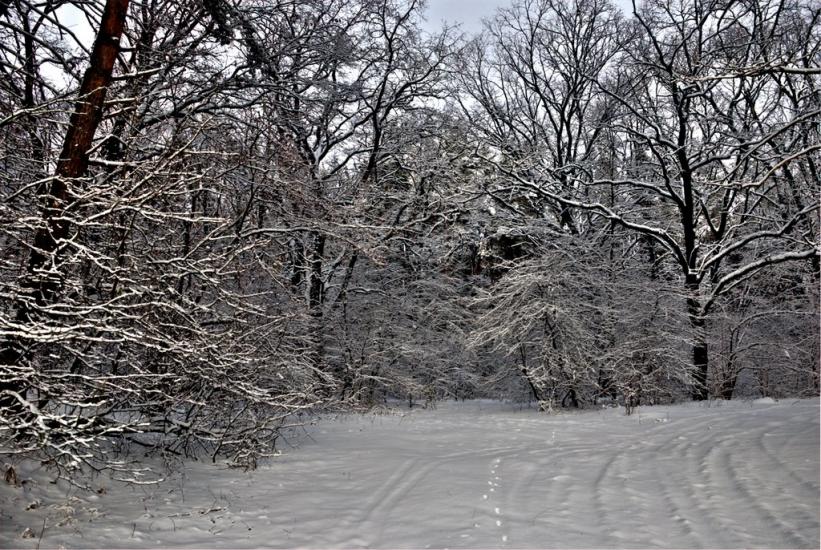 Геронимівка з panoramio.com - Геронимовка