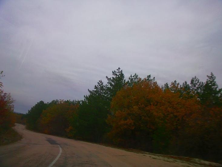 Баштанівка з panoramio.com - Баштанівка