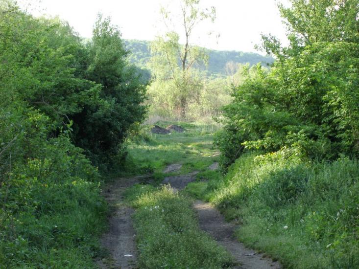 Старосілля з panoramio.com - Староселье