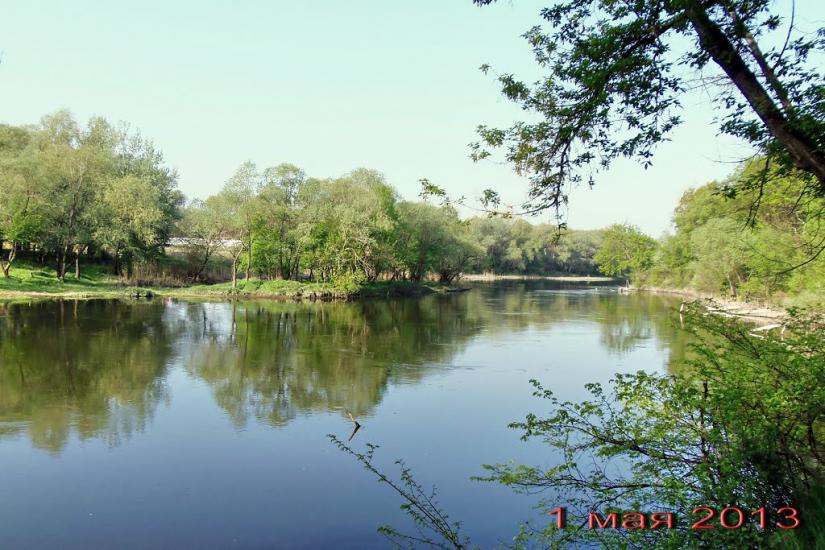 Стародубівка з panoramio.com - Стародубовка
