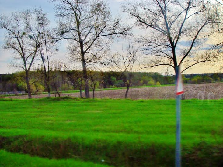 Звенигородка з panoramio.com - Звенигородка