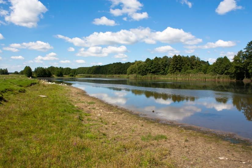 Чапаєвка з panoramio.com - Чапаевка