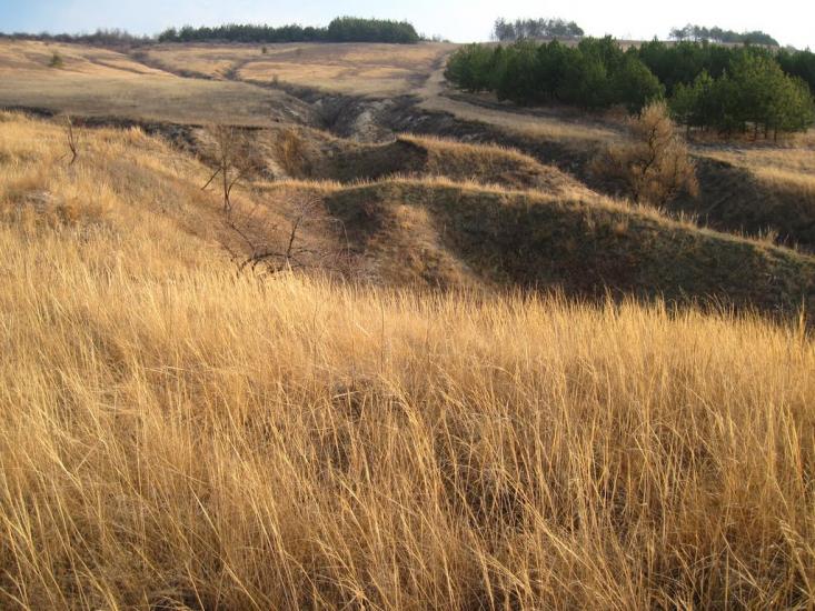 Біленьке з panoramio.com - Біленьке