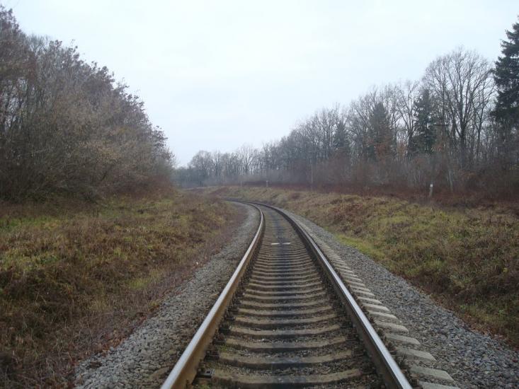 Кузьмин з panoramio.com - Кузьмин