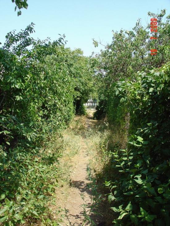 Холодна Балка з panoramio.com - Холодная Балка