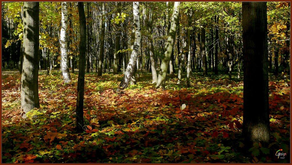 Прибузьке з panoramio.com - Прибугское