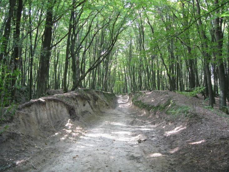 Рясне-Руське з panoramio.com - Рясное-Русское