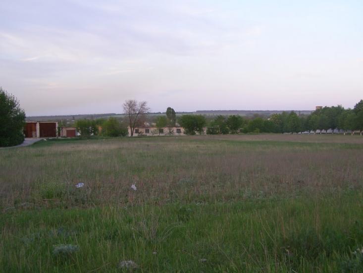 Сад з panoramio.com - Сад