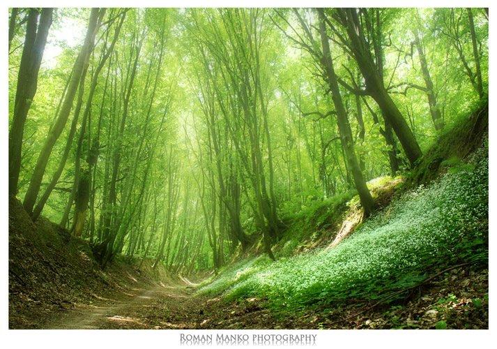 Новосілки з panoramio.com - Новоселки