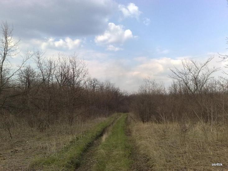 Щастя з panoramio.com - Счастье