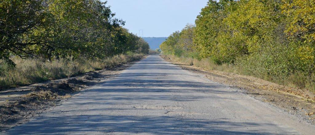 Розалівка з panoramio.com - Розаловка
