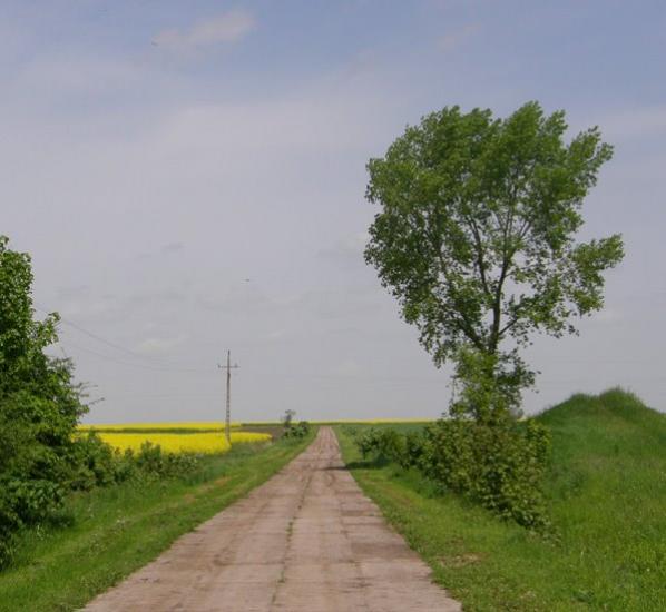 Угнів з panoramio.com - Ugniv