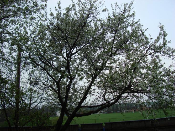 Кліводин з panoramio.com - Кліводин