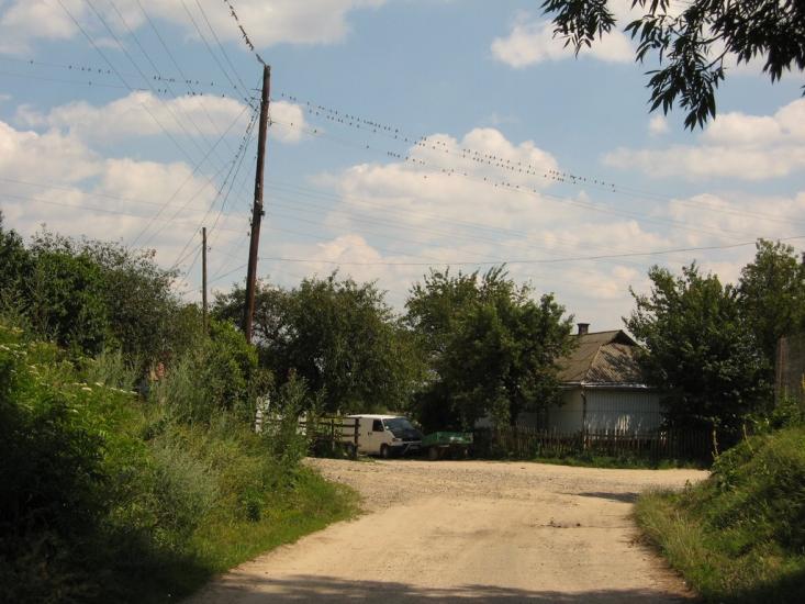 Григорівка з panoramio.com - Григоровка