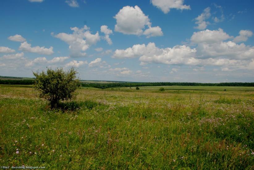 Питомник з panoramio.com - Питомник