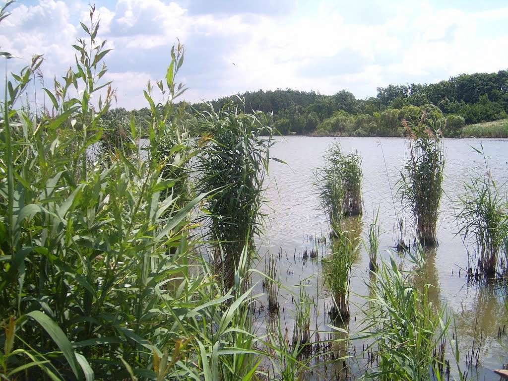 с. Пархомівка  - Пархомівка