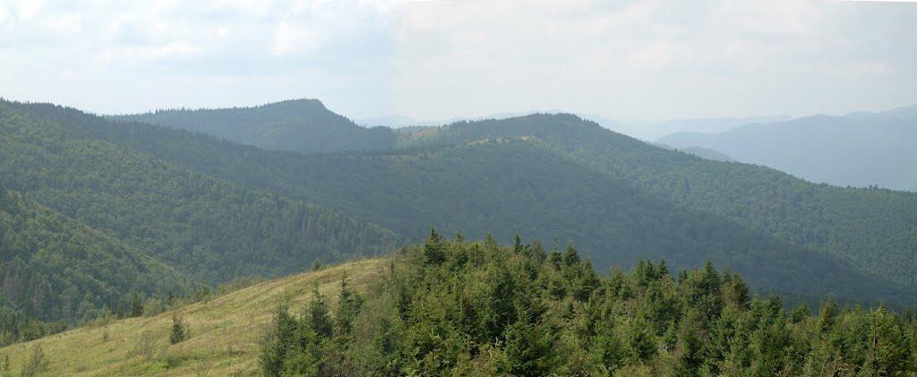 Кам'янка з panoramio.com - Каменка