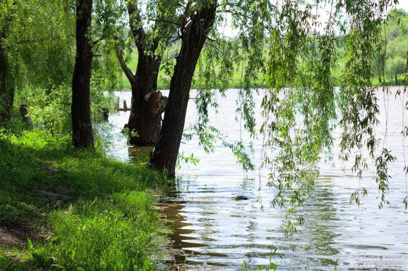 Сурсько-Литовське з panoramio.com - Сурско-Литовское