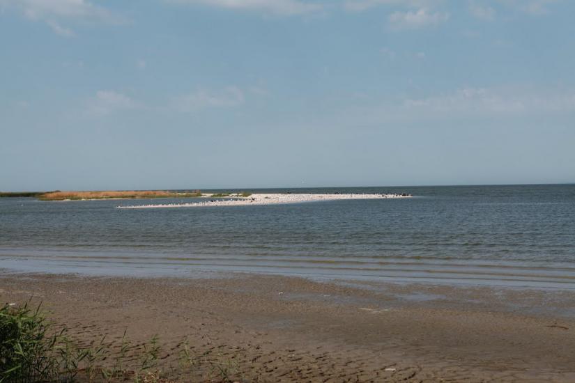 Сєдове з panoramio.com - Седово
