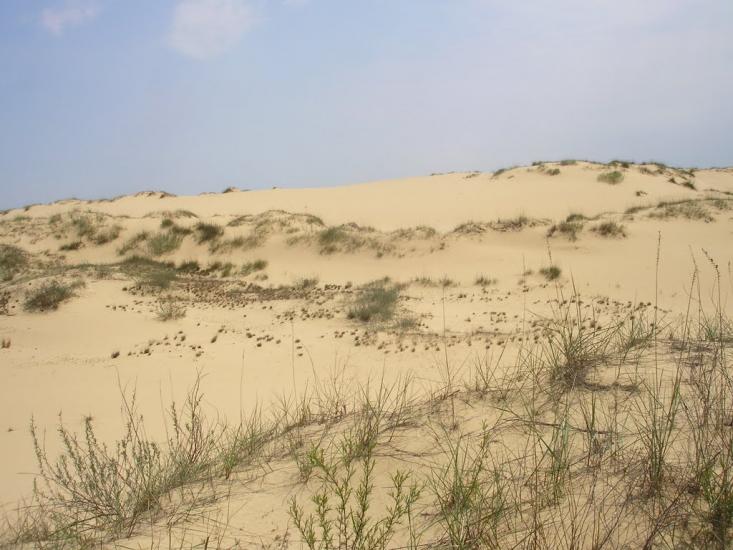 Пролетарка з panoramio.com - Пролетарка