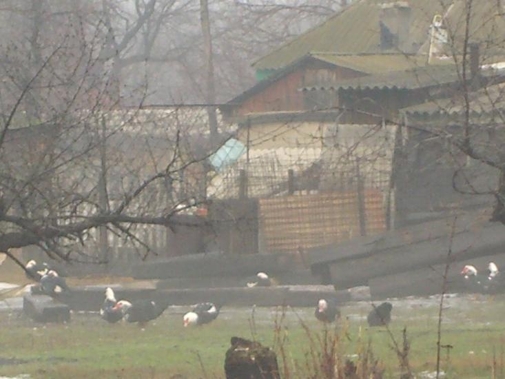 Фрунзе з panoramio.com - Фрунзе