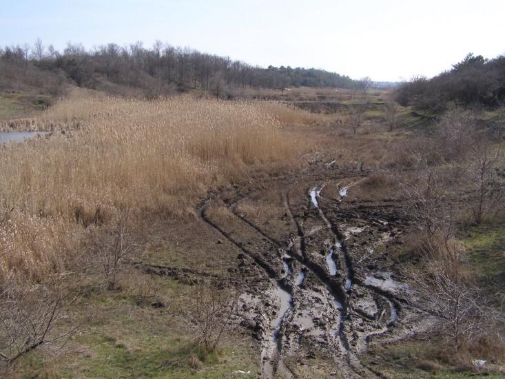 Дачне з panoramio.com - Дачное